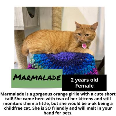 gallery photo number 1