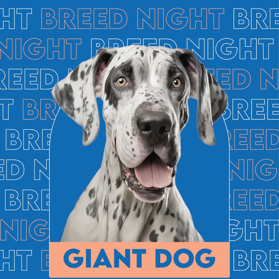 Giant Breed Night event photo
