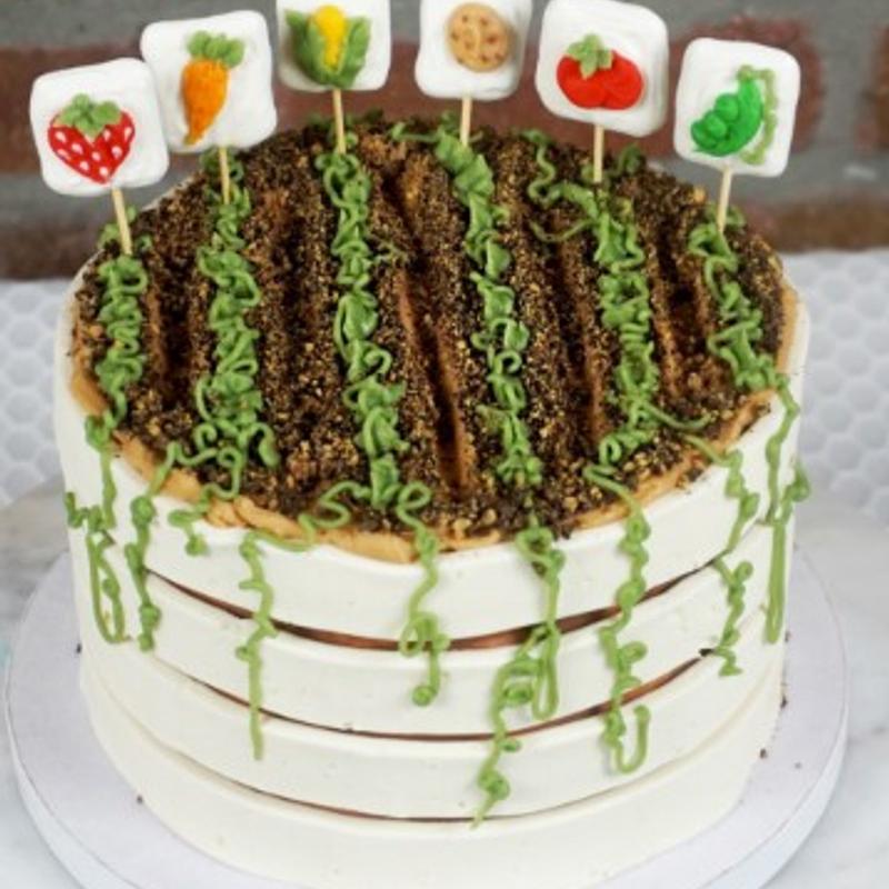 Veggie Garden photo_97