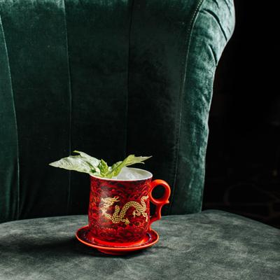 gallery photo number 133