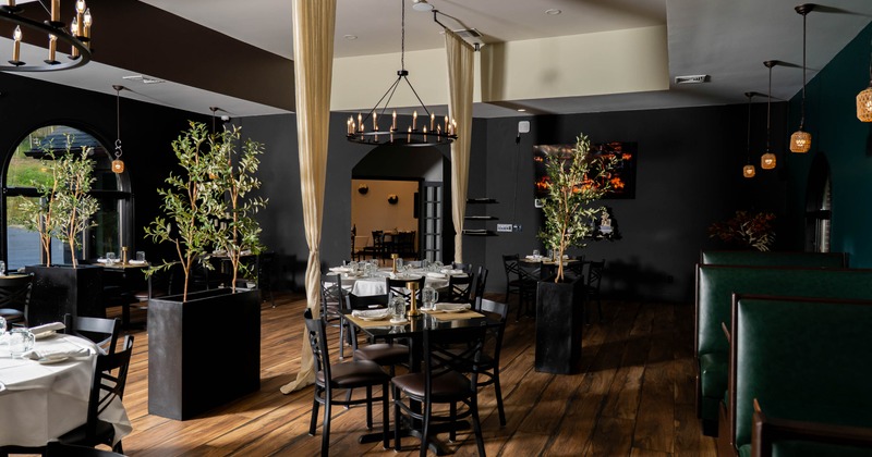 Interior, wooden flooring, black and green accents, olive trees in planters, hanging pendant lights