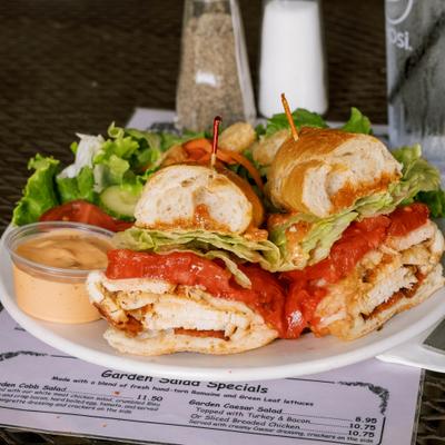A chicken sandwich cut in half, served with salad and a side sauce.