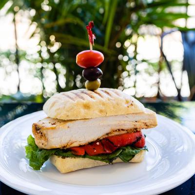 Chicken Pesto Panini