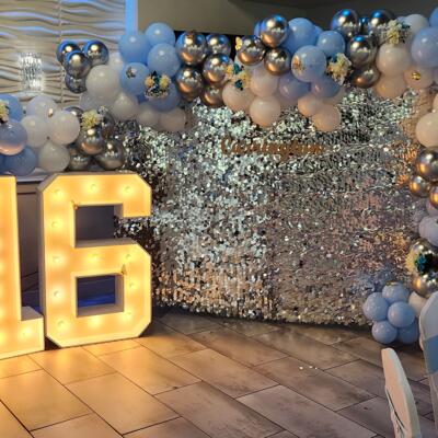 gallery photo number 15