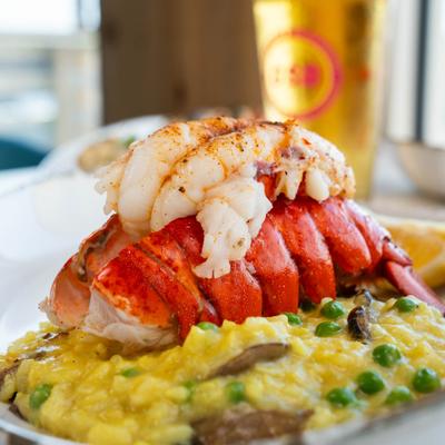 A lobster risotto featuring a prominent, broiled lobster tail.