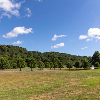 gallery photo number 8