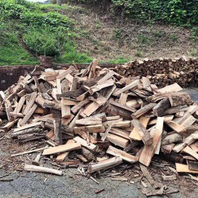 Freshly delivered, locally grown hickory wood to fire the pits.