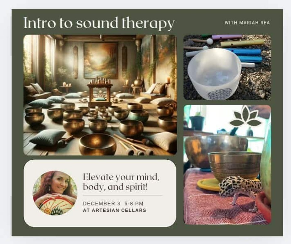 Intro to Sound Therapy Class event photo