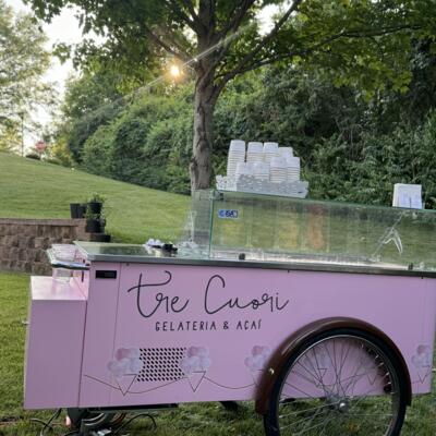 gallery photo number 137