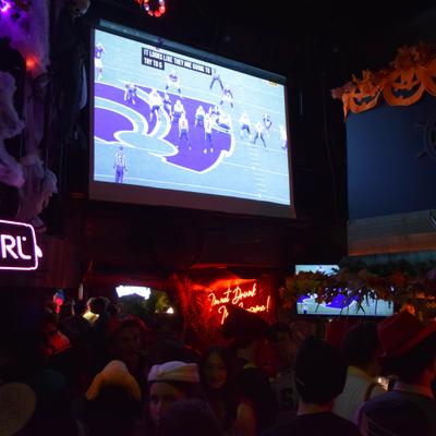 gallery photo number 391