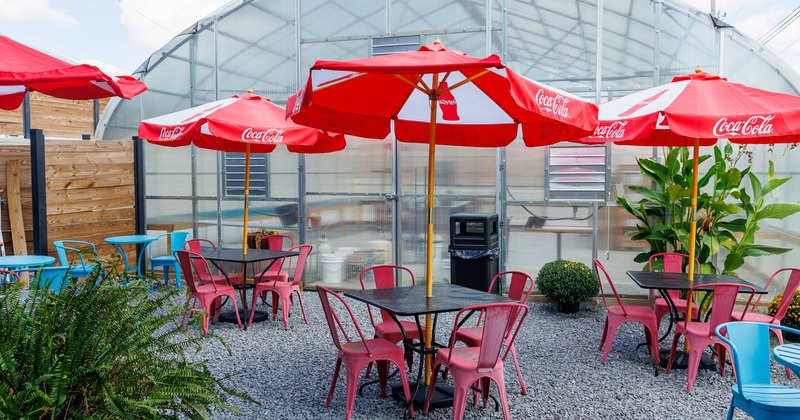 Outdoor patio - red umbrellas, colorful metal tables & chairs, plants & a large greenhouse.