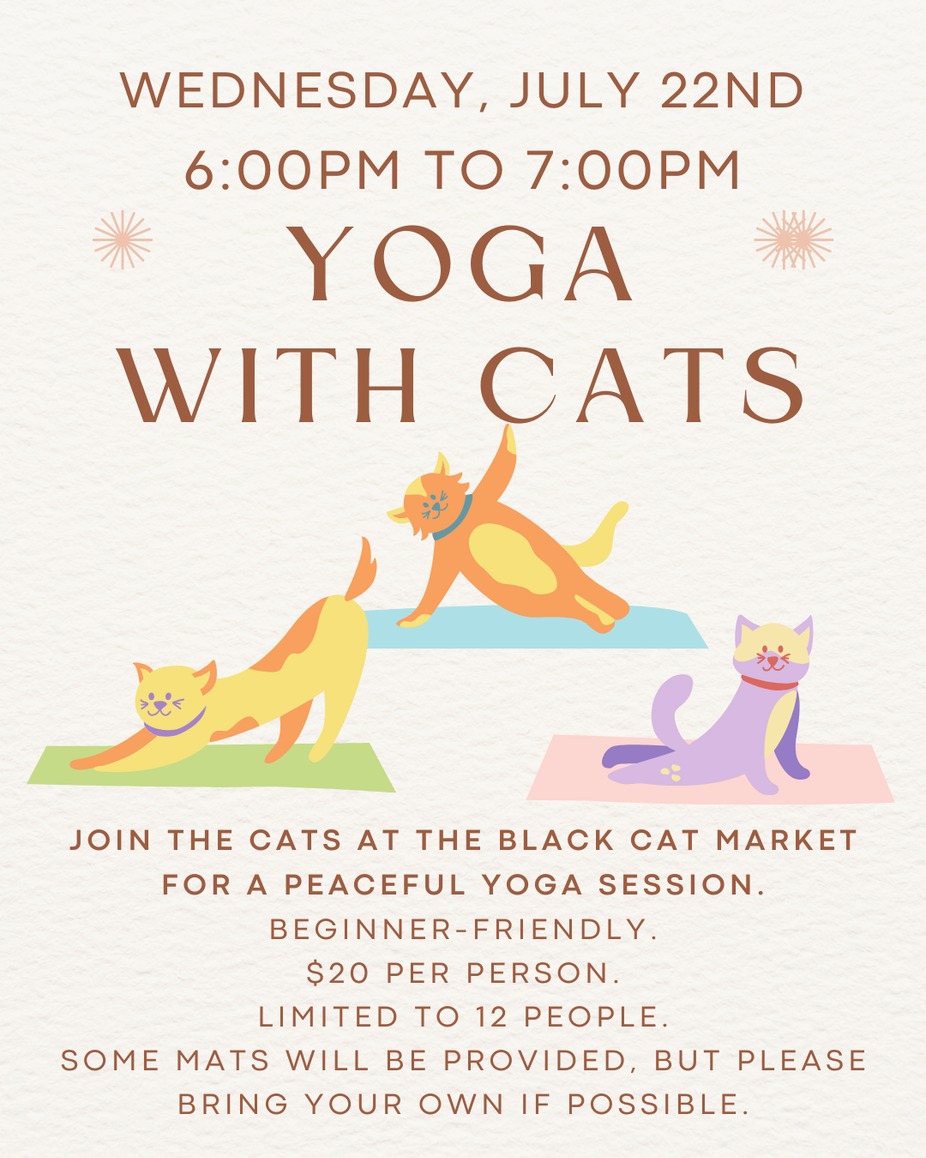 Yoga with Cats - July 22nd event photo