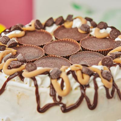 gallery photo number 6