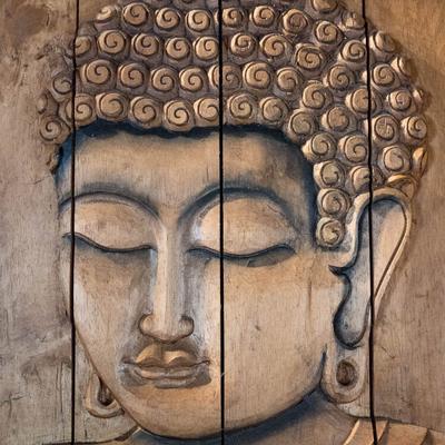 gallery photo number 44