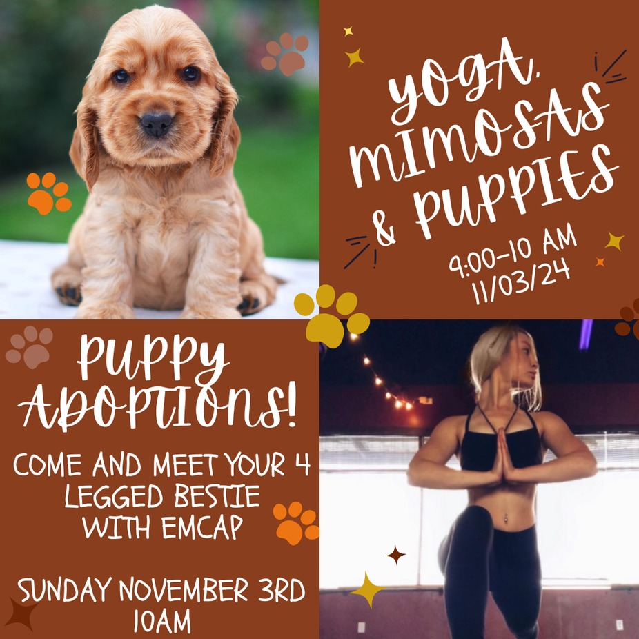 Pupp Yoga & Mimosas! event photo