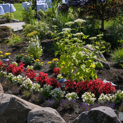 Flower garden with grass area in the back