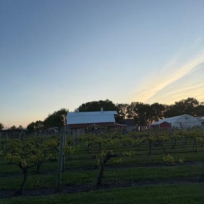 gallery photo number 2