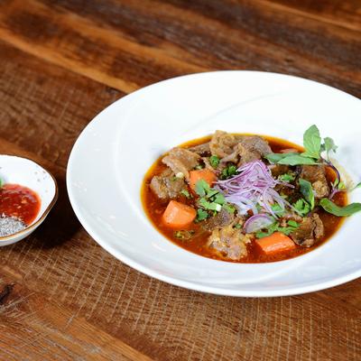 A bowl of beef stew with carrots, onions, and herbs.