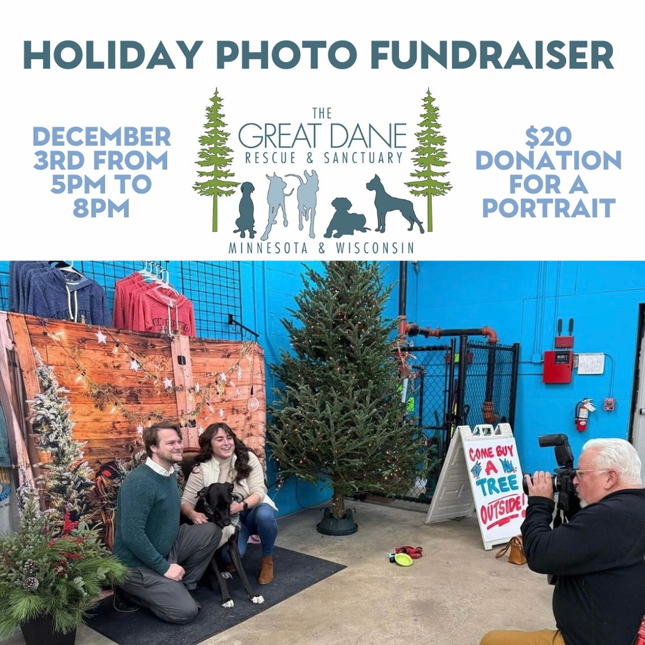 Holiday Pet Photos with Great Dane Rescue of MN & WI event photo