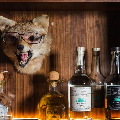 Tequila bottles, and a stuffed jackal head mounted on a wall