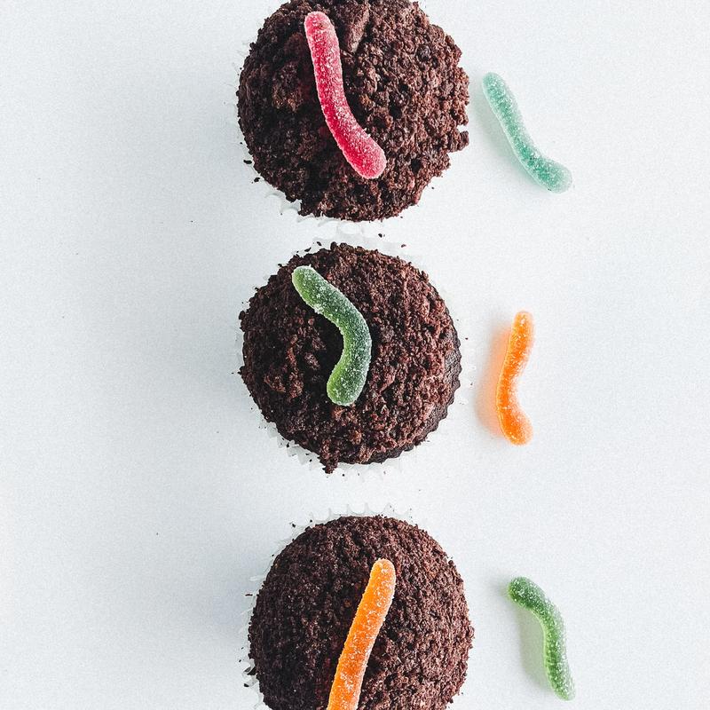 Dirt Cupcake (NF, SF) photo