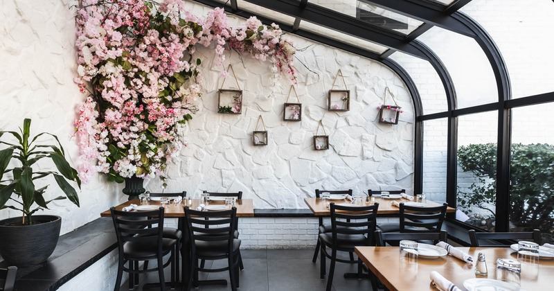 Interior, tables and chairs, framed plants on the wall