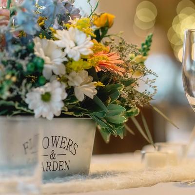 gallery photo number 5