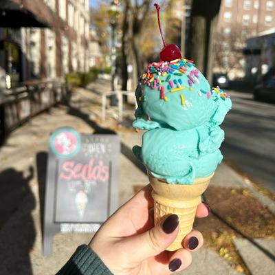 gallery photo number 4