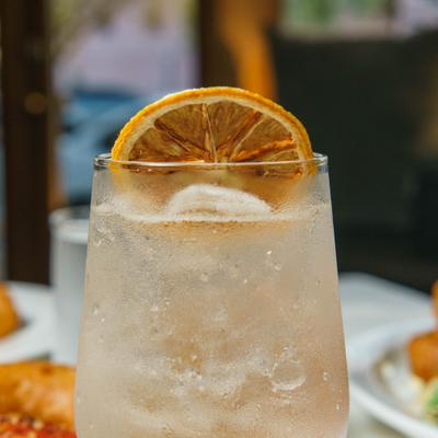 Gin And Tonic garnished with a dry citrus wheel.