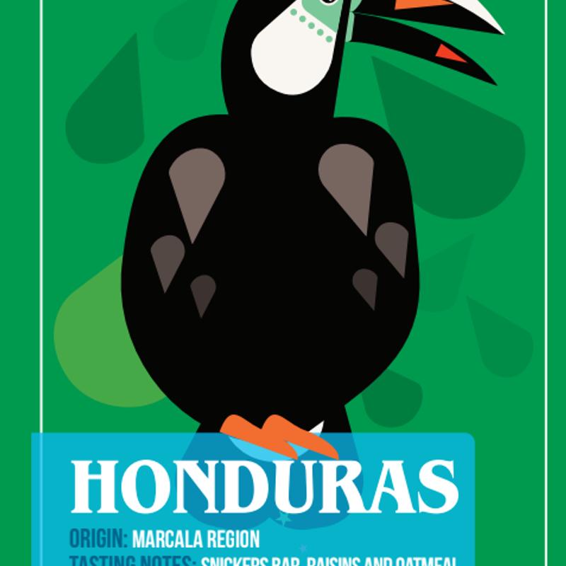 gallery photo number 5