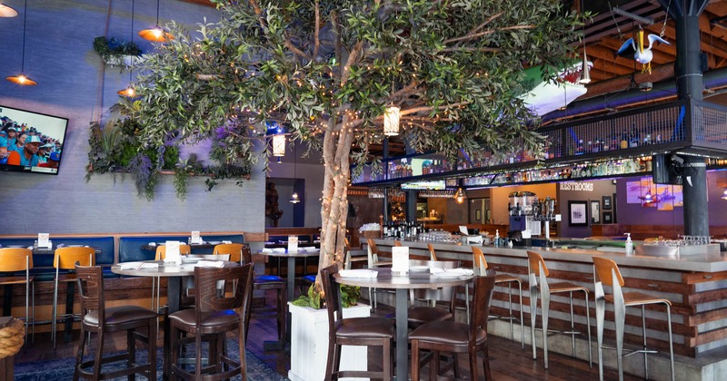 Interior, high seating area, tables with stools, bar on the right, potted tree