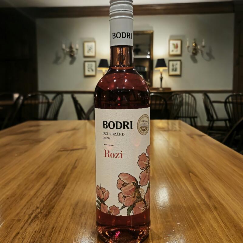 Bodri, Hungarian Rozi photo