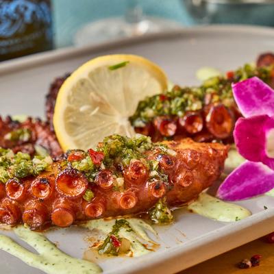 Grilled octopus with chimichurri sauce.