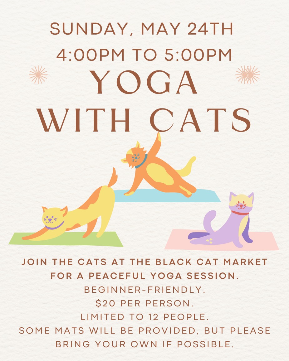 Yoga with Cats - May 24th Class 1 event photo