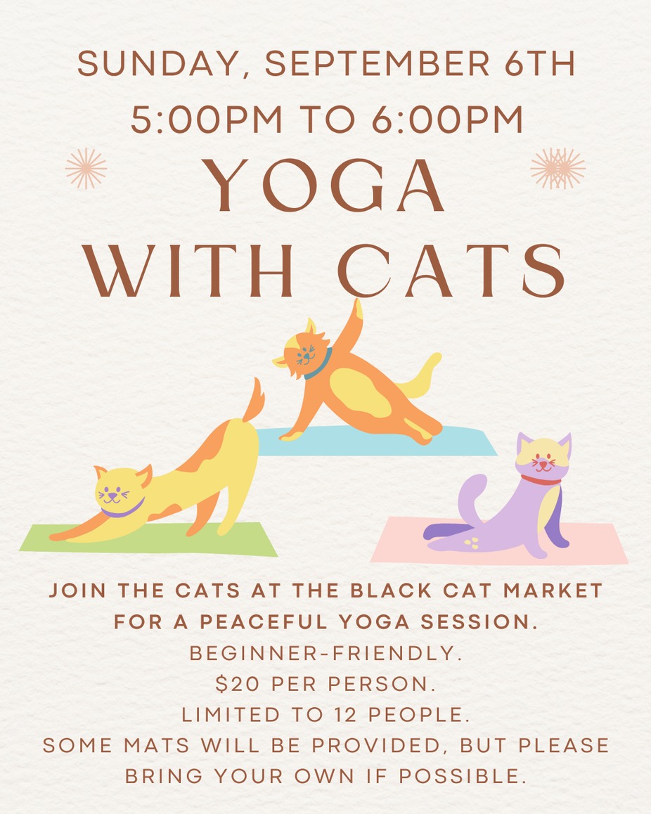 Yoga with Cats - September 6th event photo