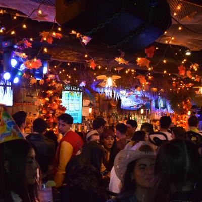 gallery photo number 308