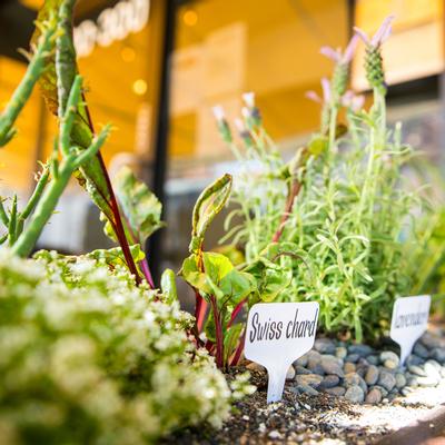 gallery photo number 143