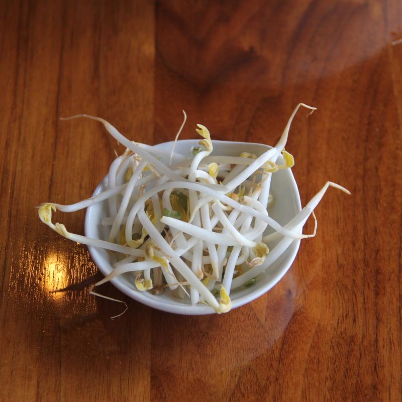 Bean Sprouts photo
