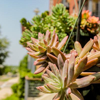 gallery photo number 122