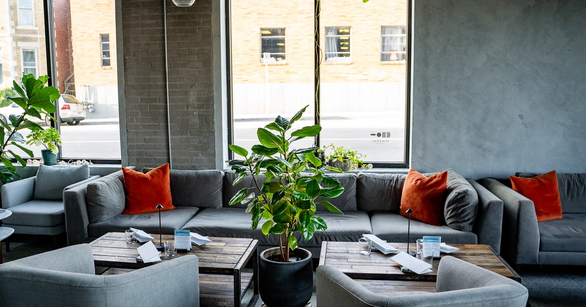Interior of modern and stylish lounge area with comfortable gray sofas and armchairs