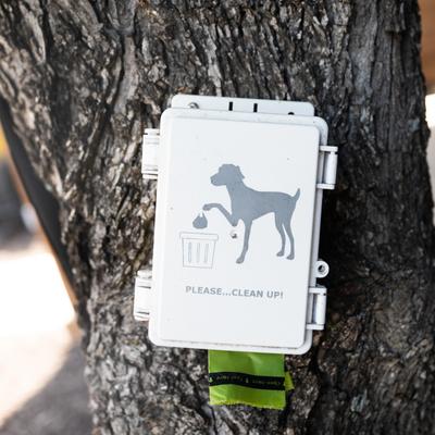 Exterior, a tree-mounted dog waste bag holder.