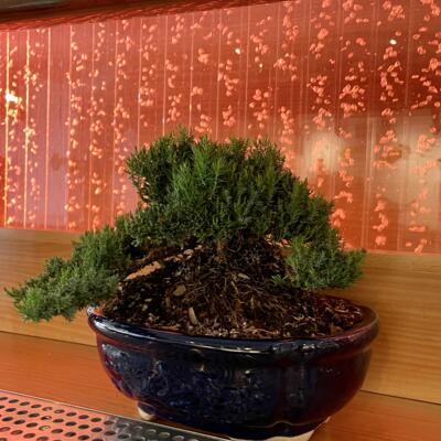 gallery photo number 35