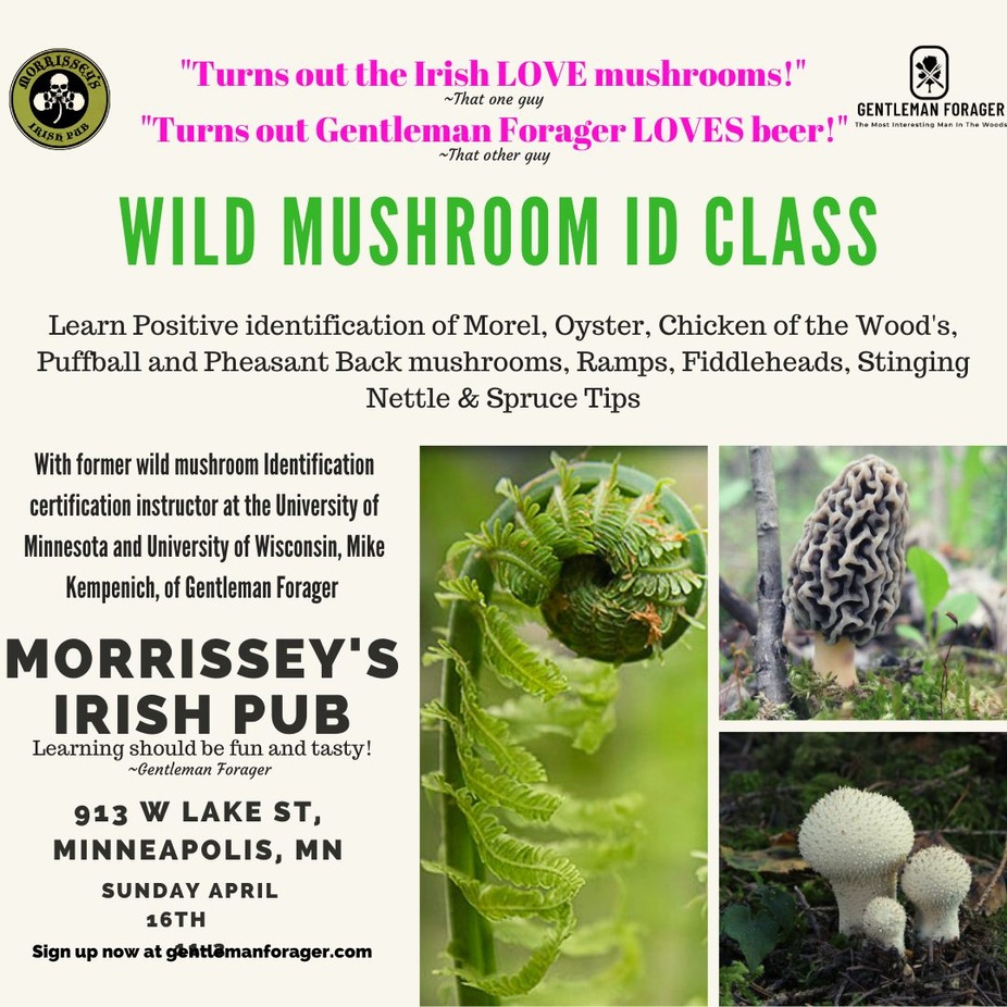 Gentleman Forager Spring Wild Mushroom & Plants Identification Class event photo