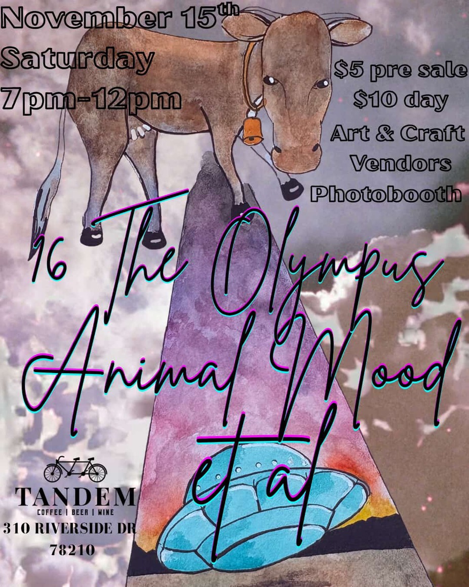 Live Local Music event photo