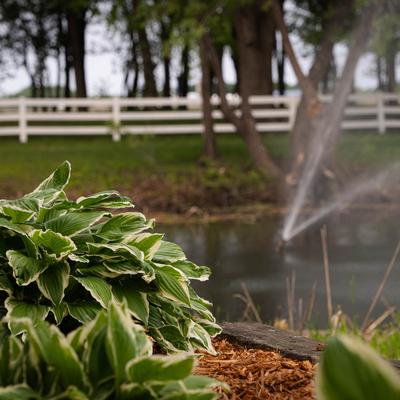 gallery photo number 67