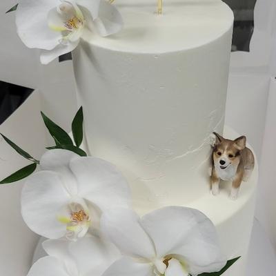 gallery photo number 9