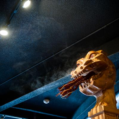 Interior, Viking boat bar, detail