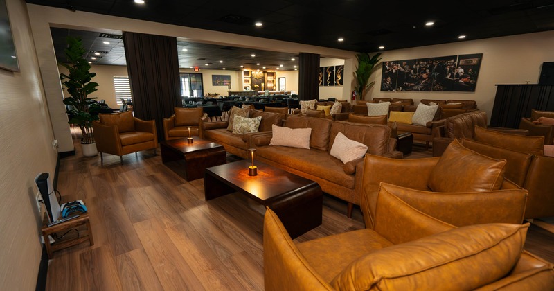 Stylish lounge with brown leather sofas