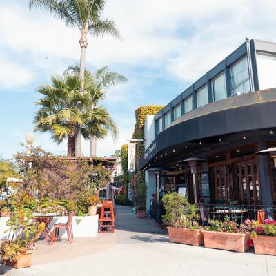 Exterior with outdoor seating, potted plants, and palm tress.