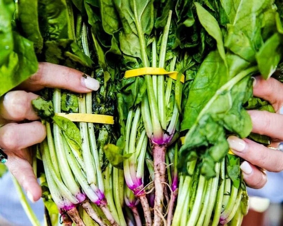 Dinner's choice badge